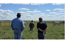 Visita à Fazenda Santa Marta Naviraí 