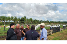 Visitação na Guadalupe Agropecuária