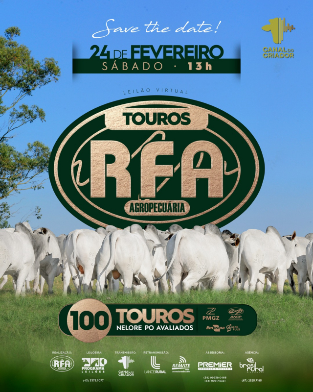 Leilão Virtual Touros RFA Agropecuária