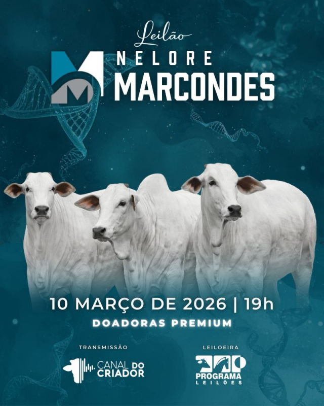 Leilão Virtual Nelore Marcondes - Doadoras Premium