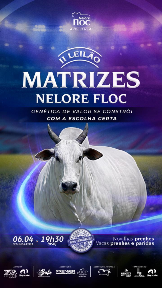 II Leilão Virtual Matrizes Nelore Floc