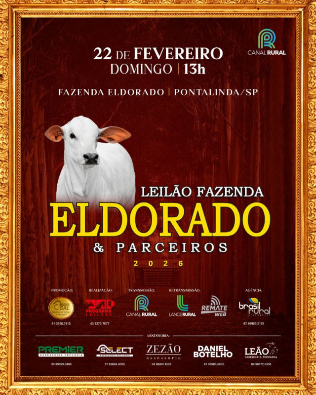 Leilão Fazenda Eldorado & Parceiros 2026