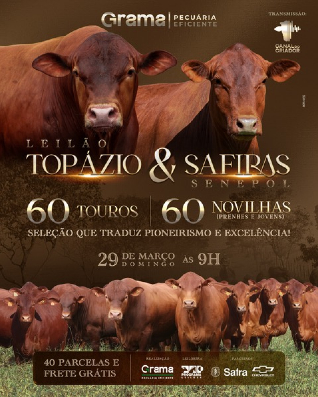 Leilão Virtual Topázio & Safiras - Grama Senepol