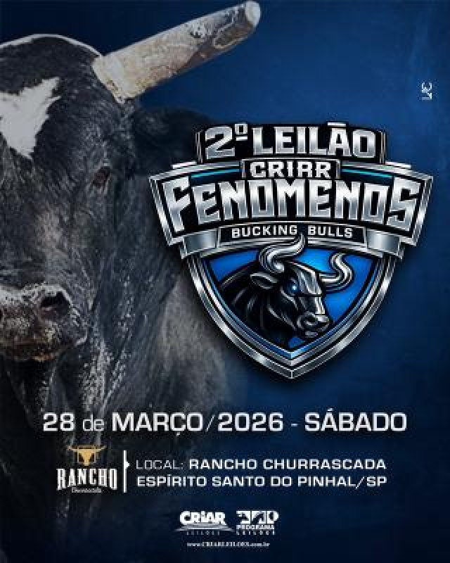 Leilão Bucking Bulls