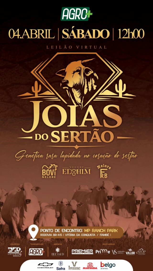 Leilão Virtual Jóias do Sertão