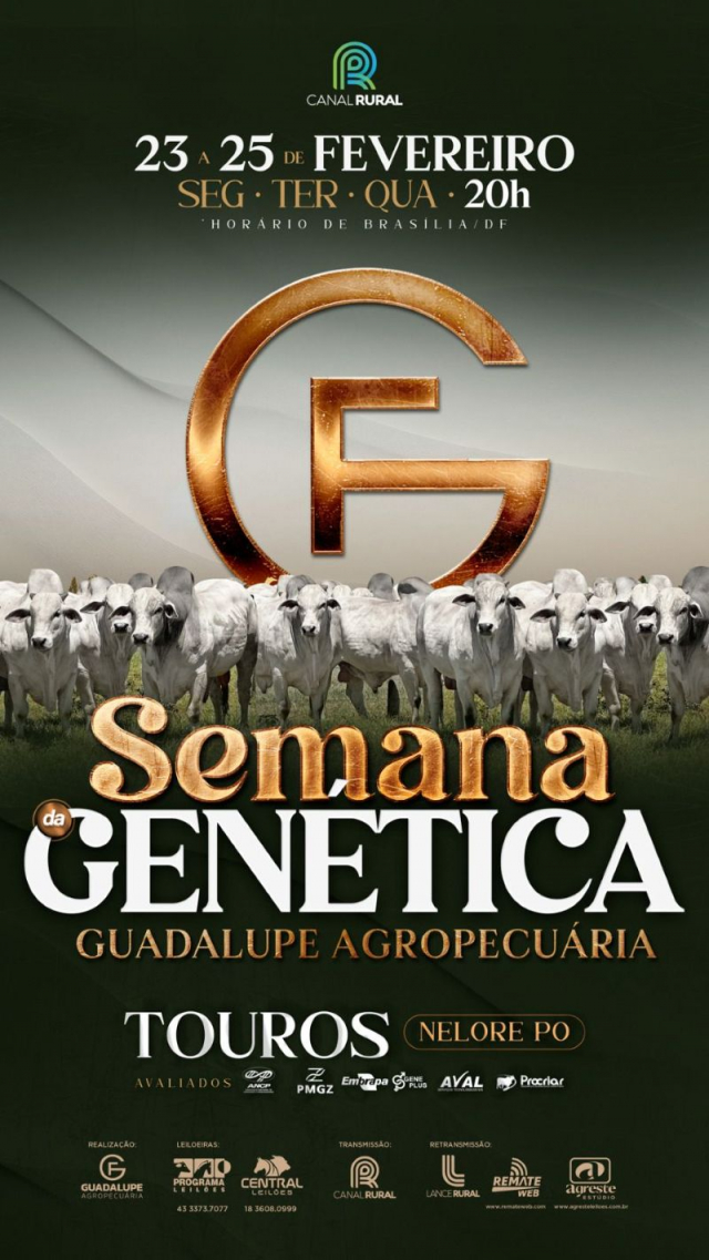 Leilão Virtual Semana da Genética Guadalupe Agropecuária - Touros,