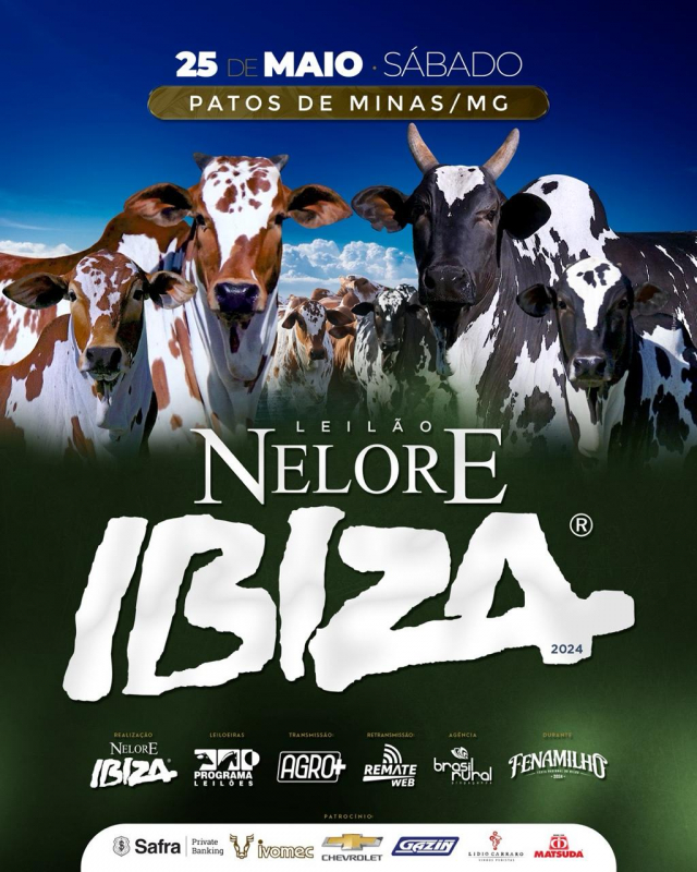 Leilão Nelore Ibiza 2024