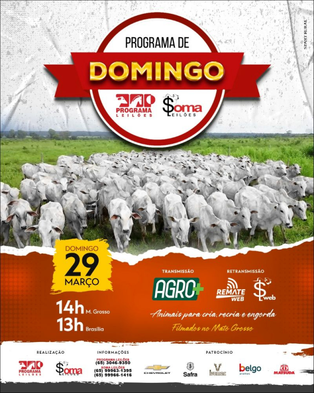 147° Programa de Domingo - Programa e Soma Leilões