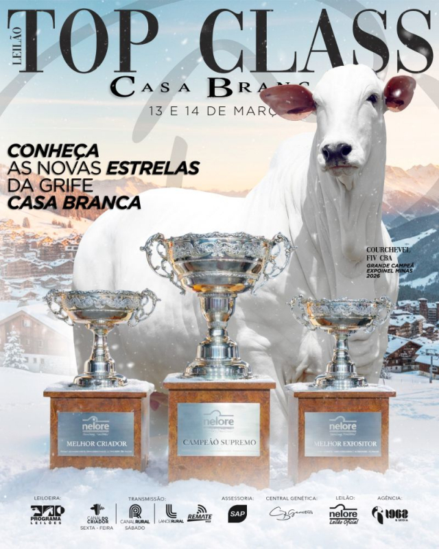Leilão Virtual Top Class Casa Branca.