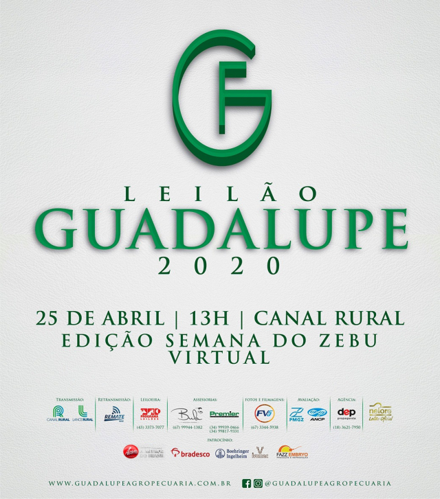 Leilão Guadalupe 2020