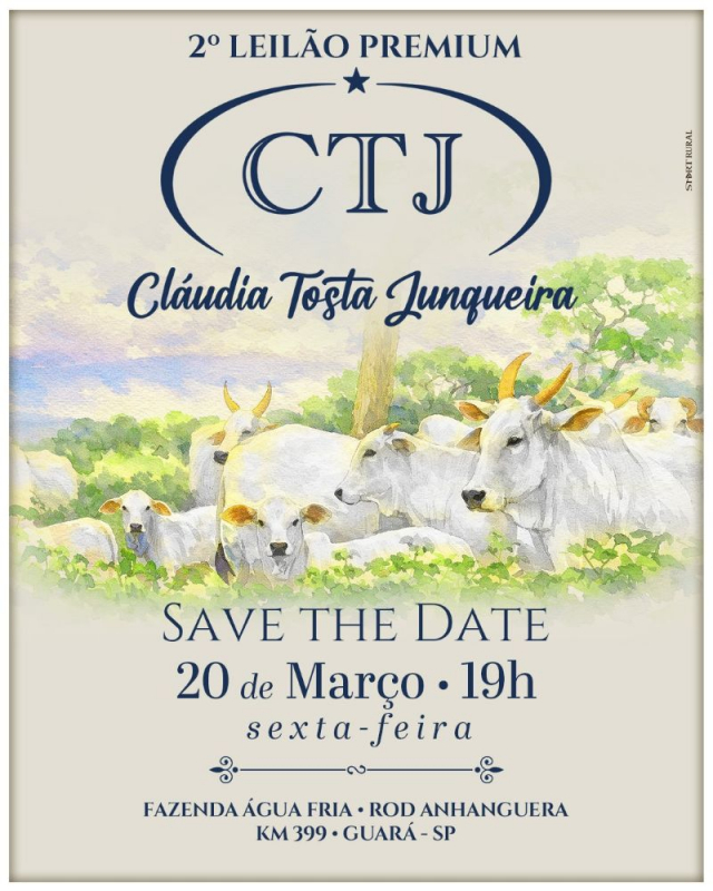 2º Leilão Premium CTJ