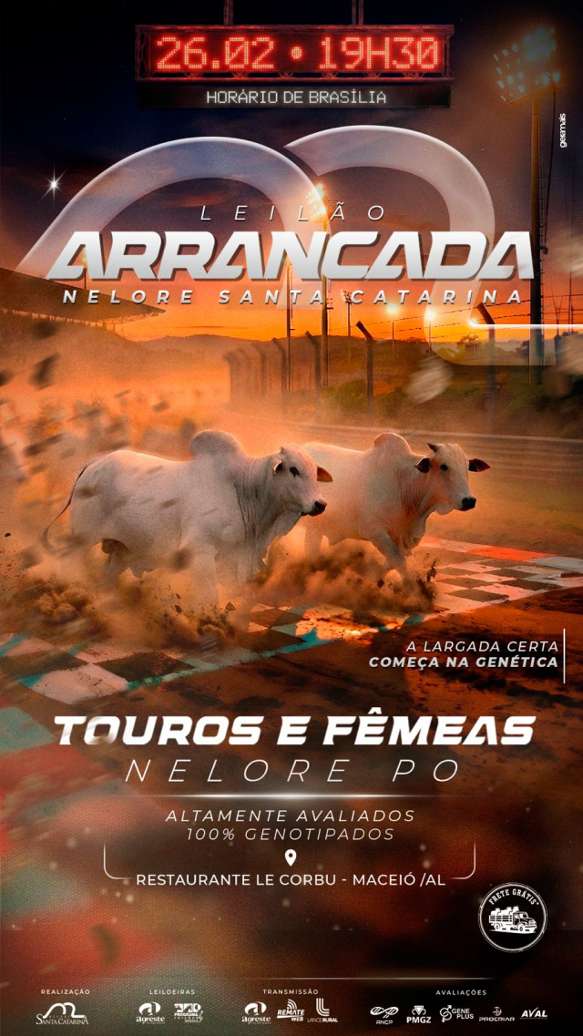 Leilão Arrancada - Nelore Santa Catarina