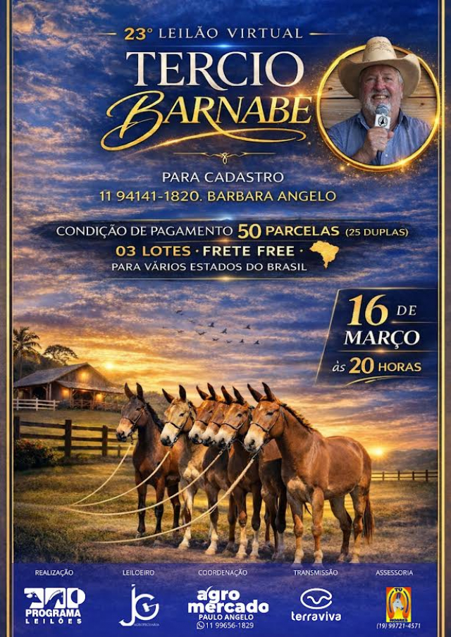23° Leilão Virtual Tropa Tercio Barnabé