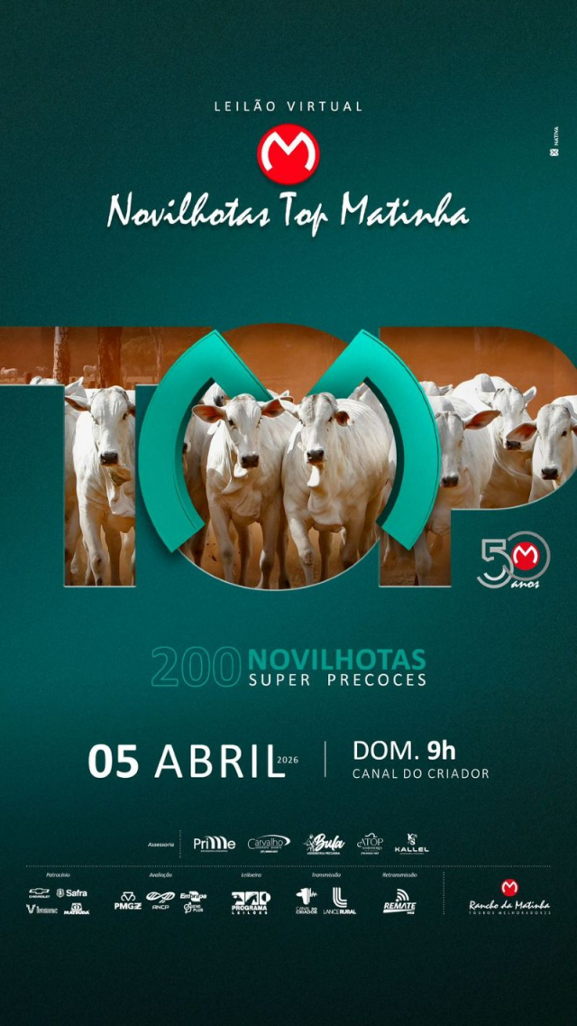 Leilão Virtual Novilhotas Top Matinha