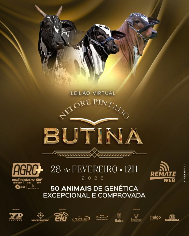 Leilão Virtual Nelore Pintado Butina