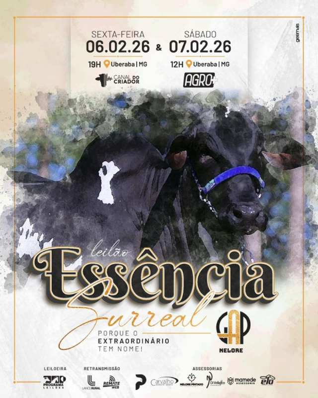 Leilão Essência Surreal Nelore GAP - 2ª Etapa