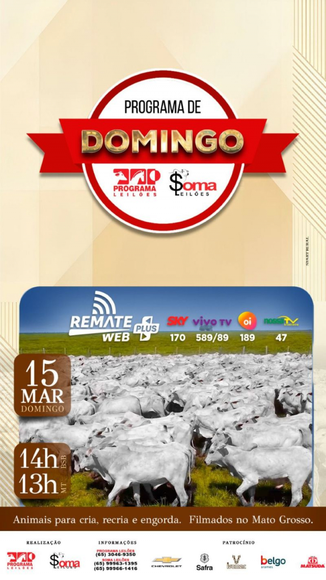 145° Programa de Domingo - Programa e Soma Leilões