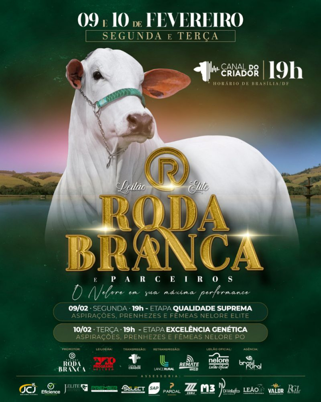 Leilão Elite Roda Branca & Parceiros - Qualidade Suprema