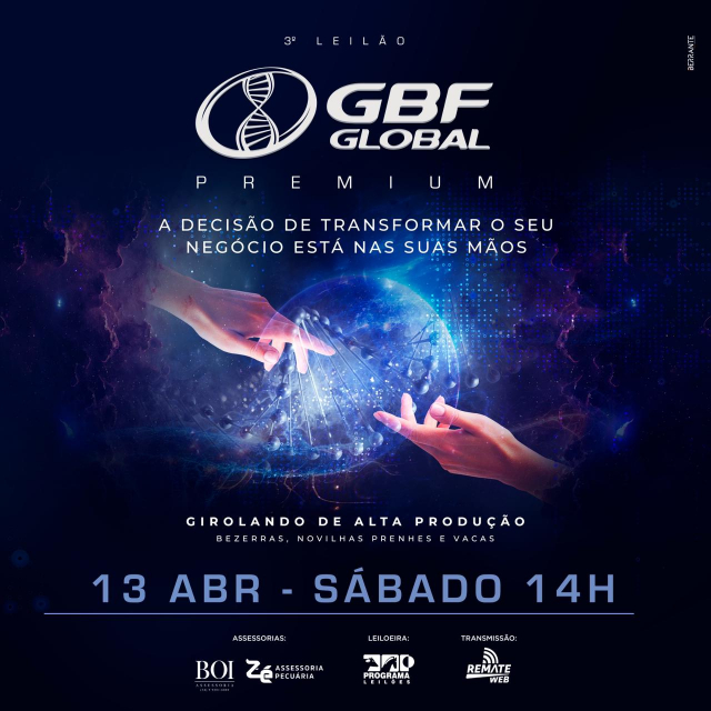 3º Leilão GBF Global Premium