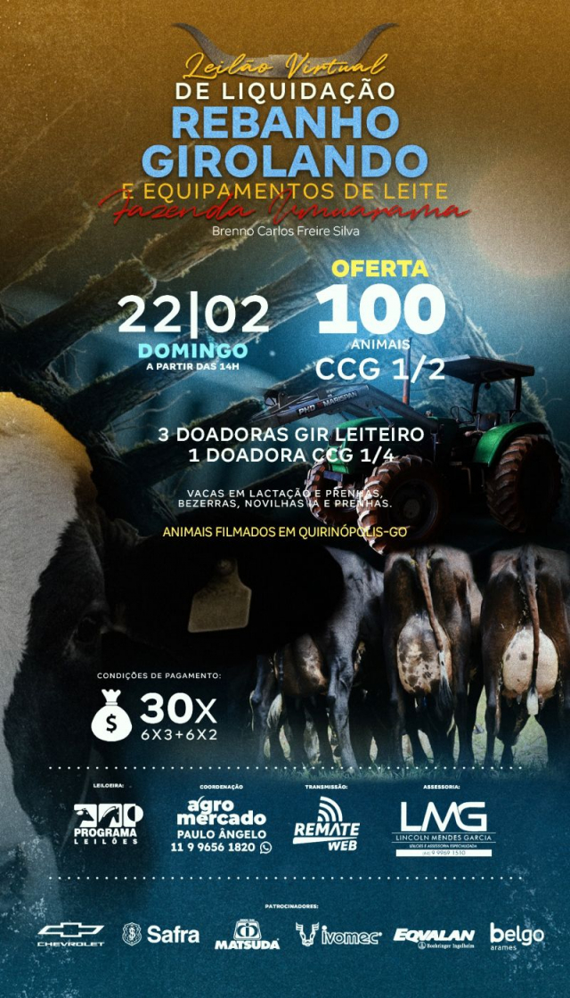 Leilão Virtual Liquidação Fazenda Umuarama - Girolando e Equipamentos de Leite