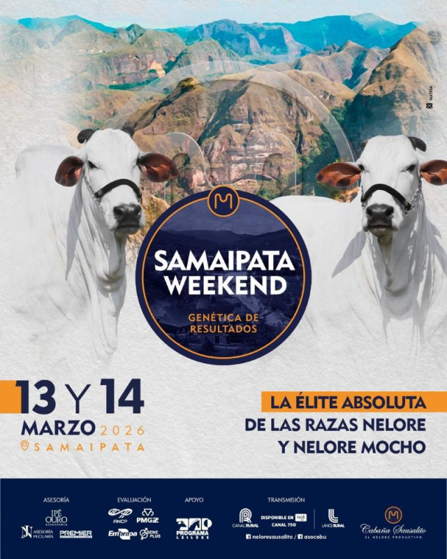 Leilão Samaipata Weekend.