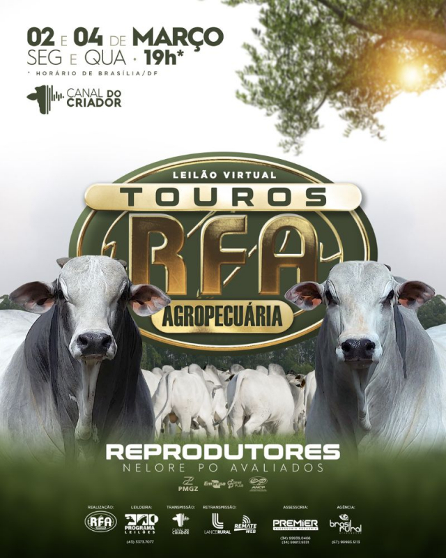 Leilão Virtual  Touros RFA Agropecuária