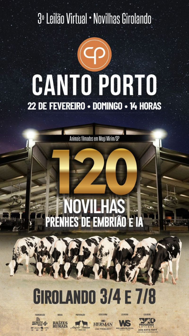 3° Leilão Virtual Novilhas Girolando Canto Porto