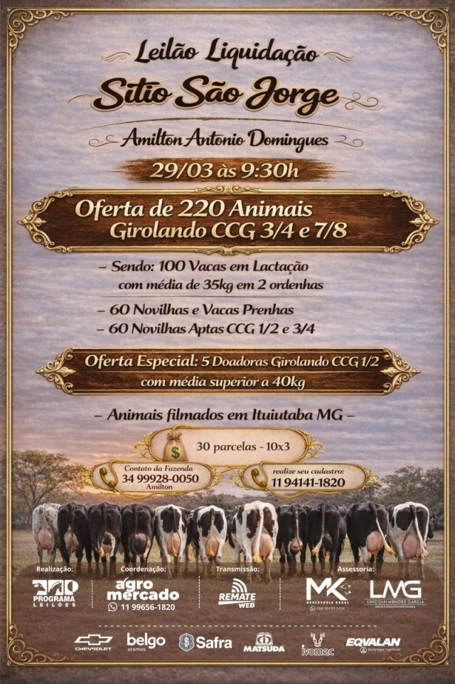 Leilão Virtual Liquidação Sítio São Jorge