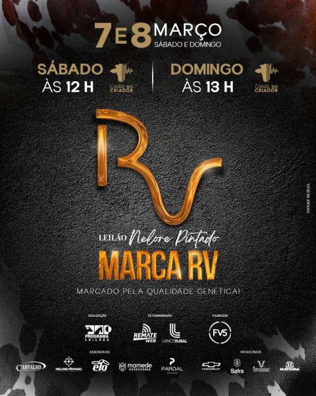 Leilão Virtual Nelore Pintado Marca RV - Fêmeas