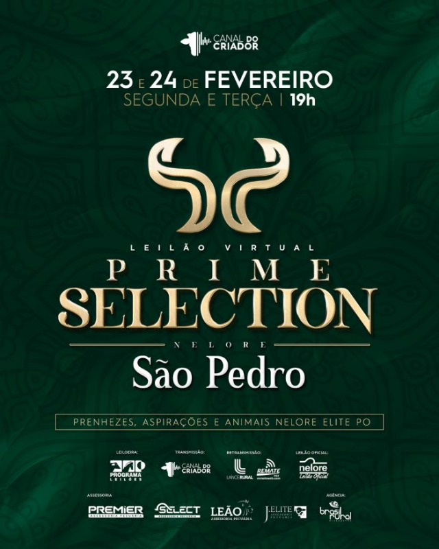 Leilão Virtual Prime Selection - Nelore São Pedro.