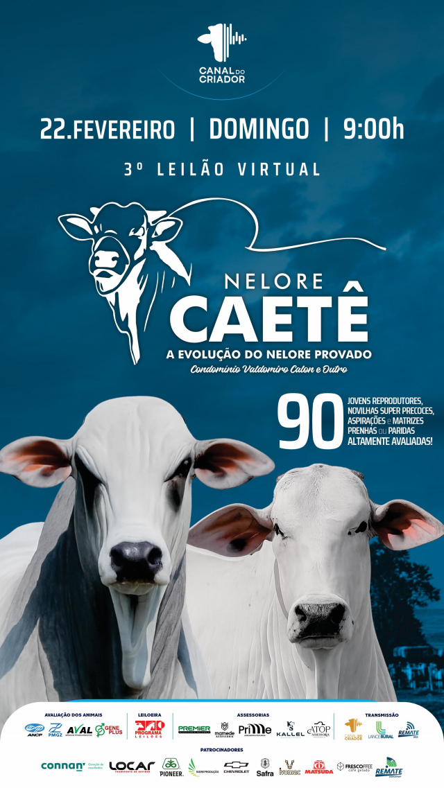 3º Leilão Virtual Nelore Caetê