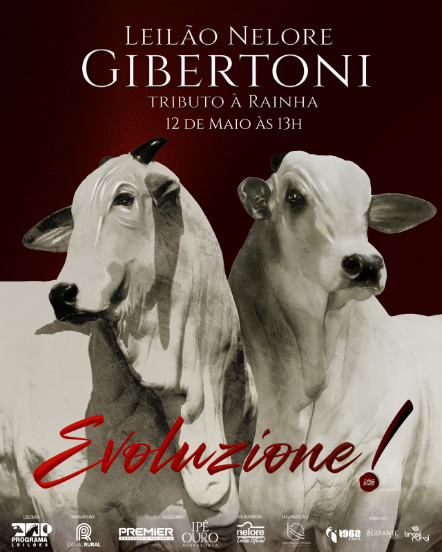 Leilão Nelore Gibertoni - EVOLUZIONE