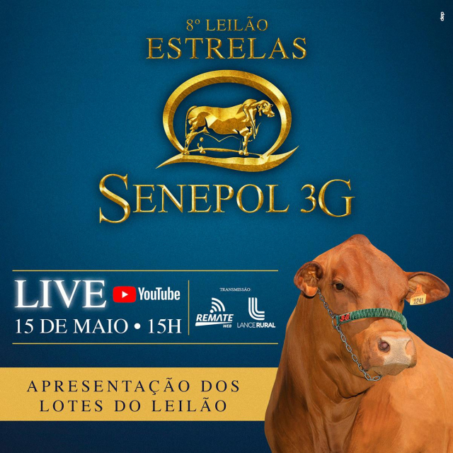 LIVE - 8° Leilão Estrelas Senepol 3G