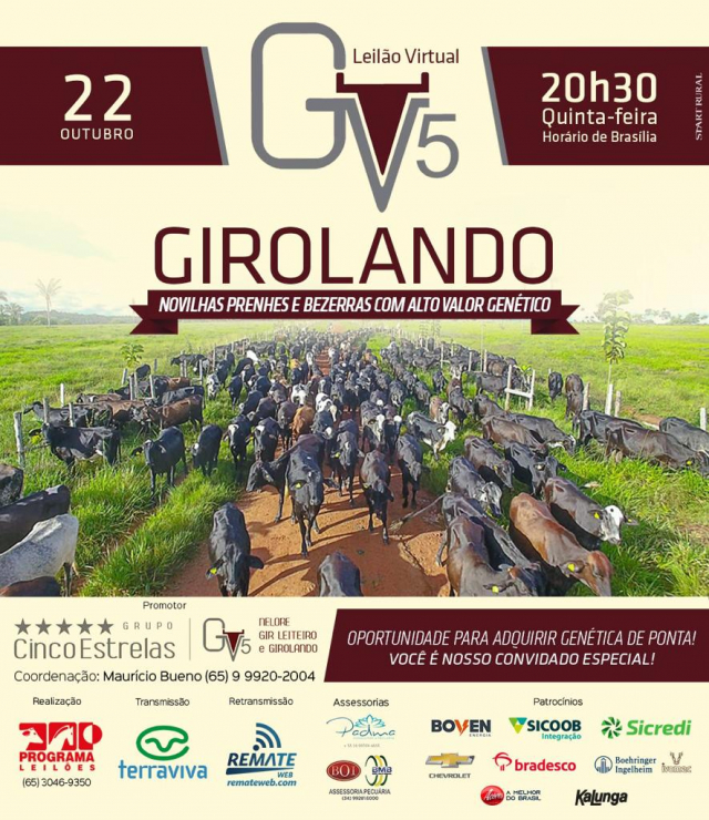 Leilão Virtual GV5 Girolando