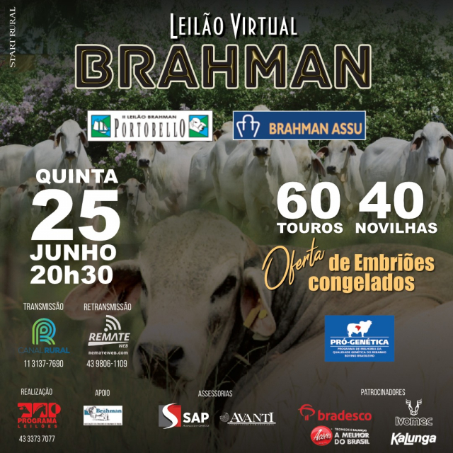 Virtual Brahman Portobello