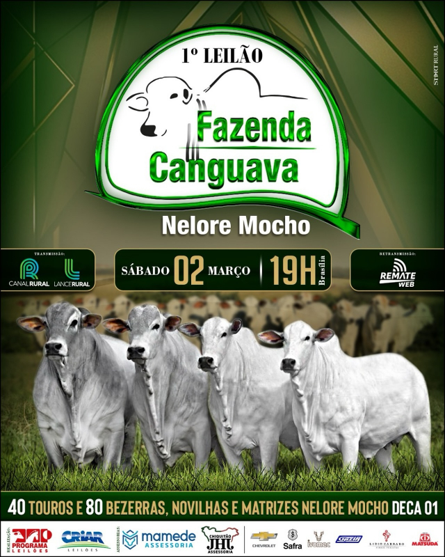 1° Leilão Virtual Fazenda Canguava